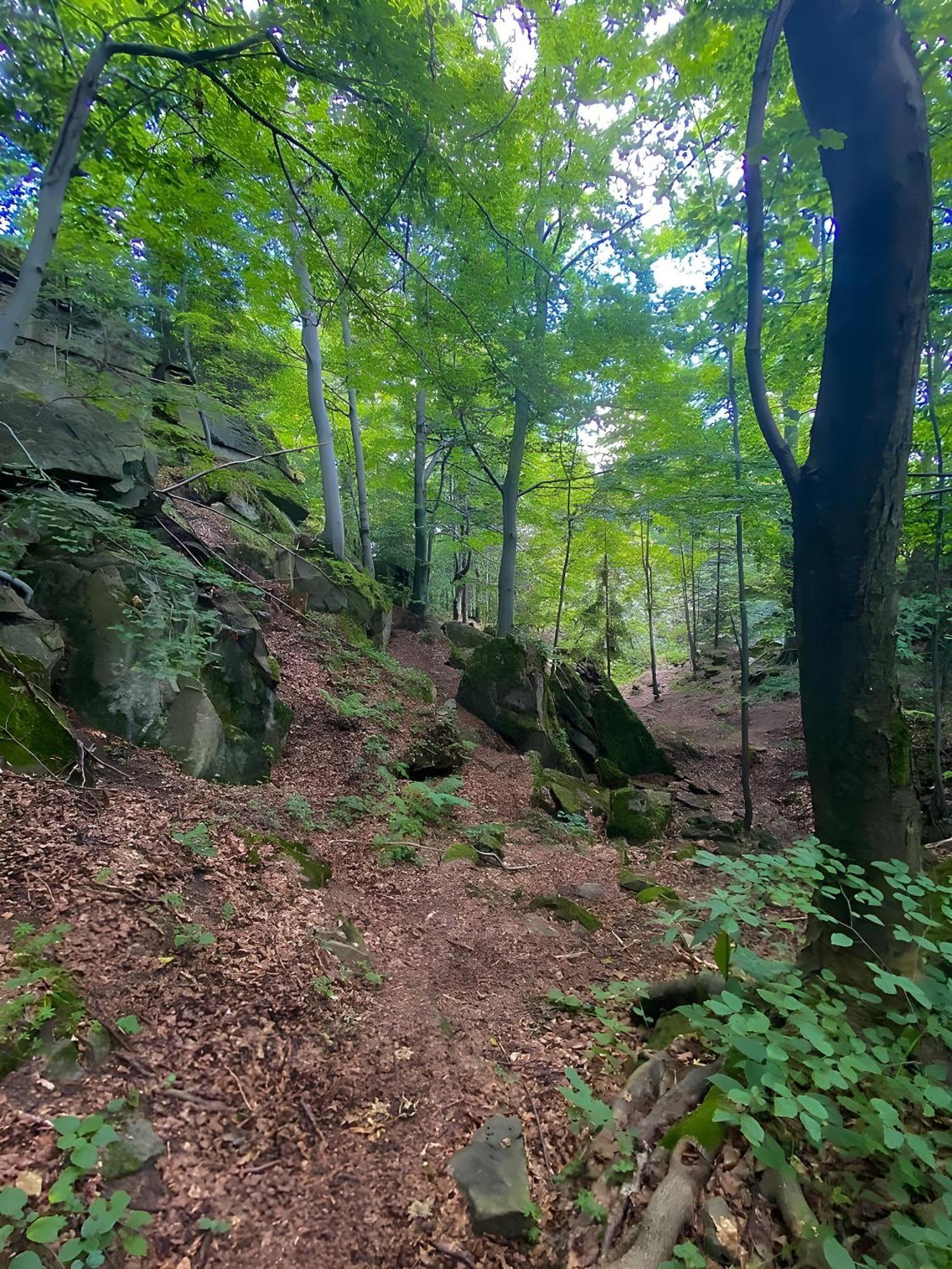 Przystanek Madejowa Villa Jeleśnia Dış mekan fotoğraf